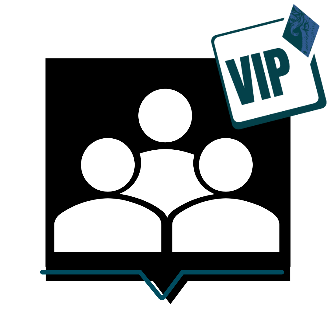 Research VIP Team